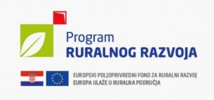 REKONSTRUKCIJA ULICE DR. FRANJE TUĐMANA U DUBOŠEVICI